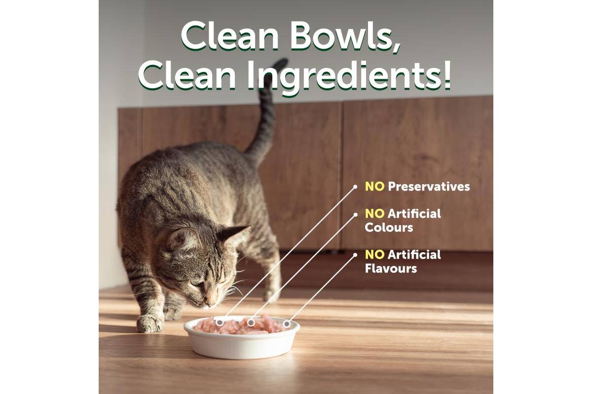 Kitten Wet Food for All Breeds with Tuna and Sea Bass 24 Pack