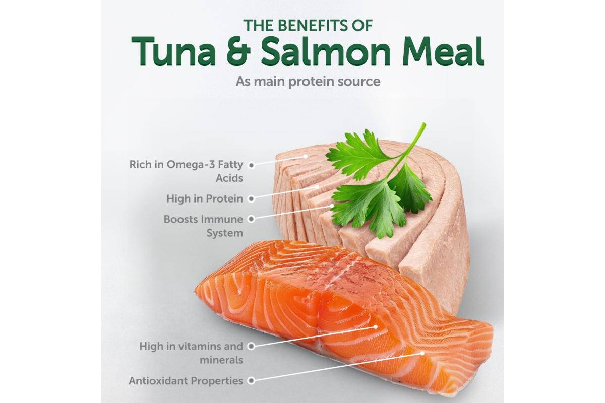 Adult Dog Wet Food for All Breeds with Tuna and Salmon