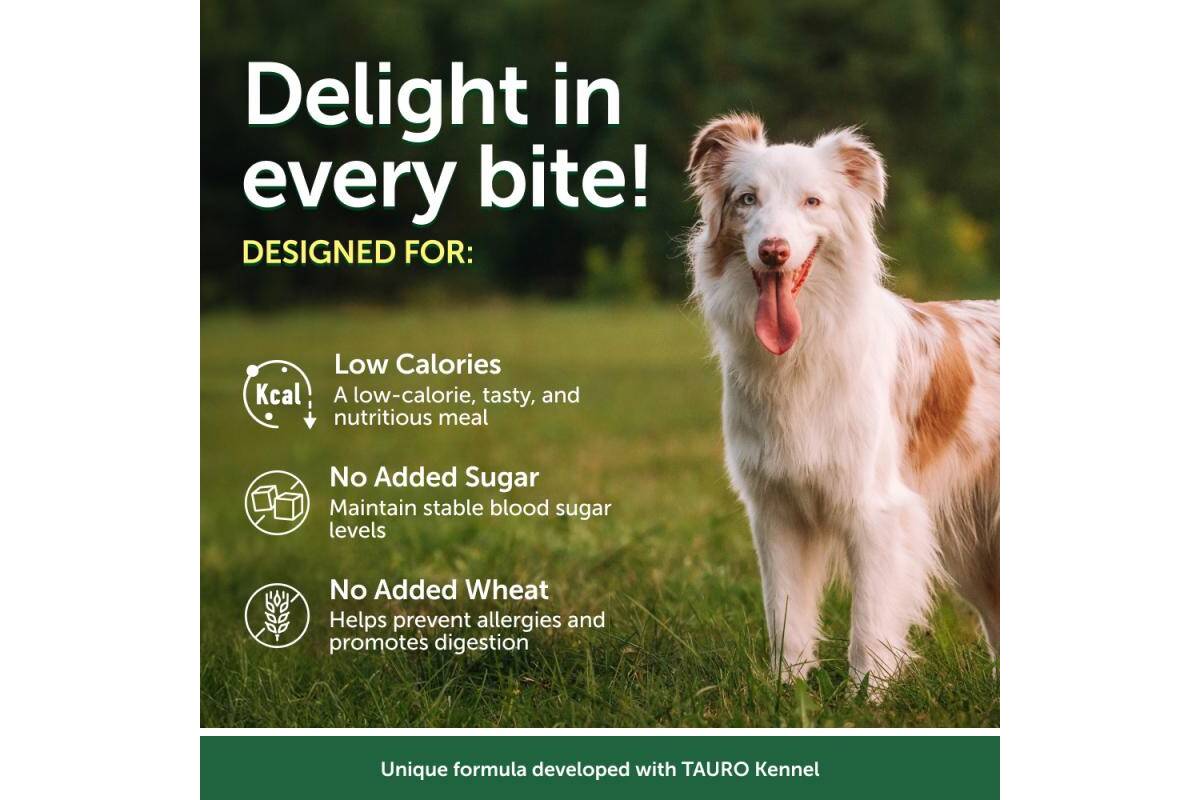Adult Dog Wet Food for All Breeds with Tuna and Salmon