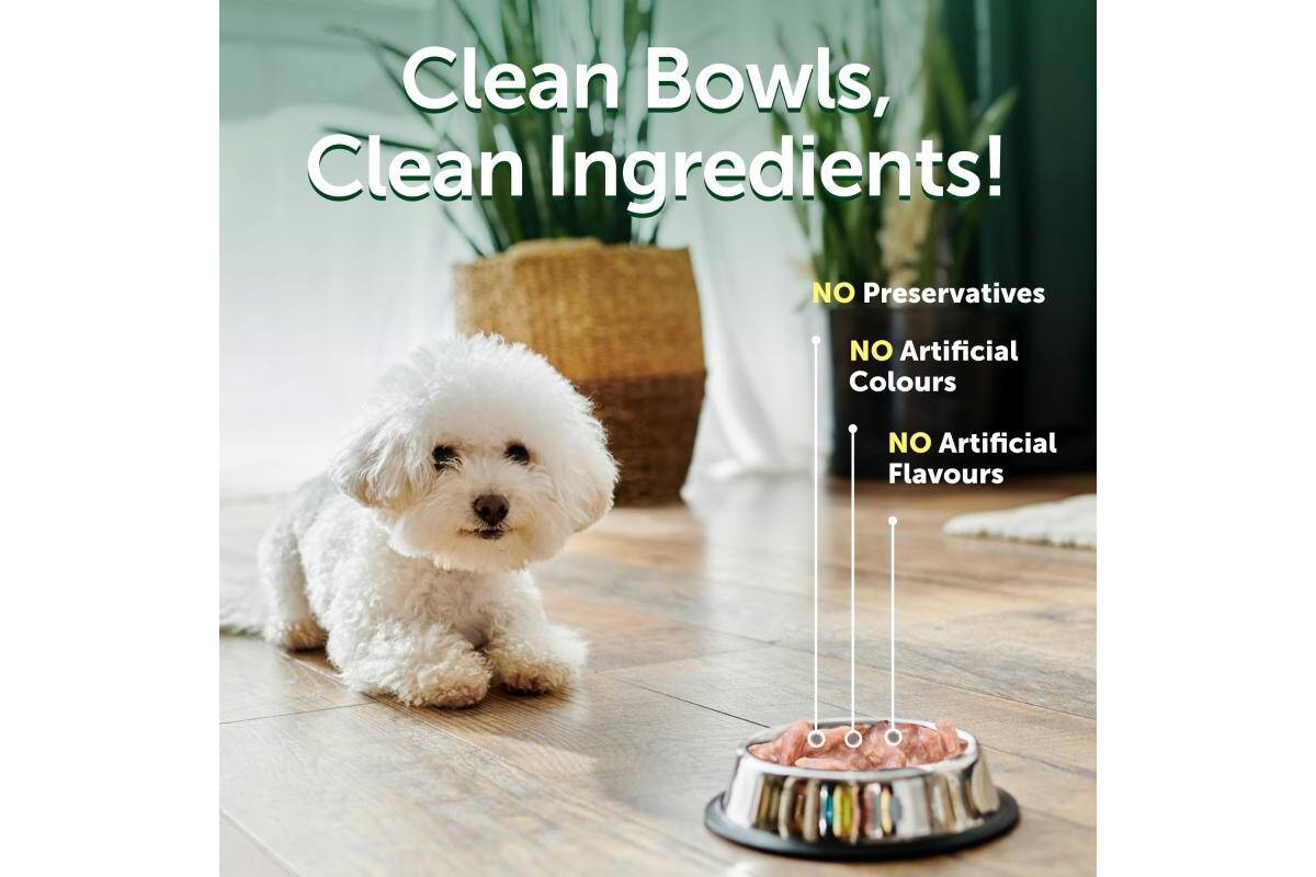 Adult Dog Wet Food for All Breeds with Tuna & Rice