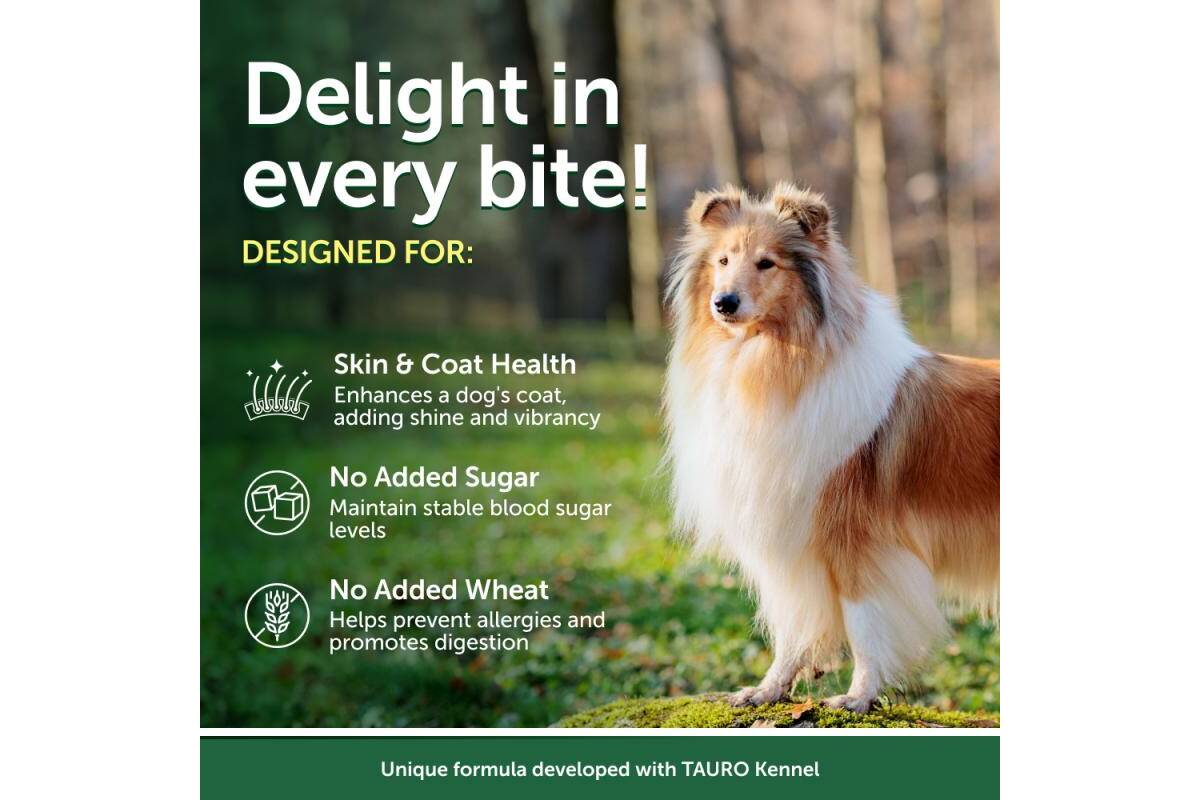 Adult Dog Wet Food for All Breed Dogs with Tuna & Rice 24 Pack