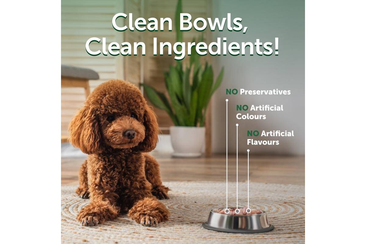 Adult Dog Wet Food for All Breed Dogs with Tuna & Rice 24 Pack