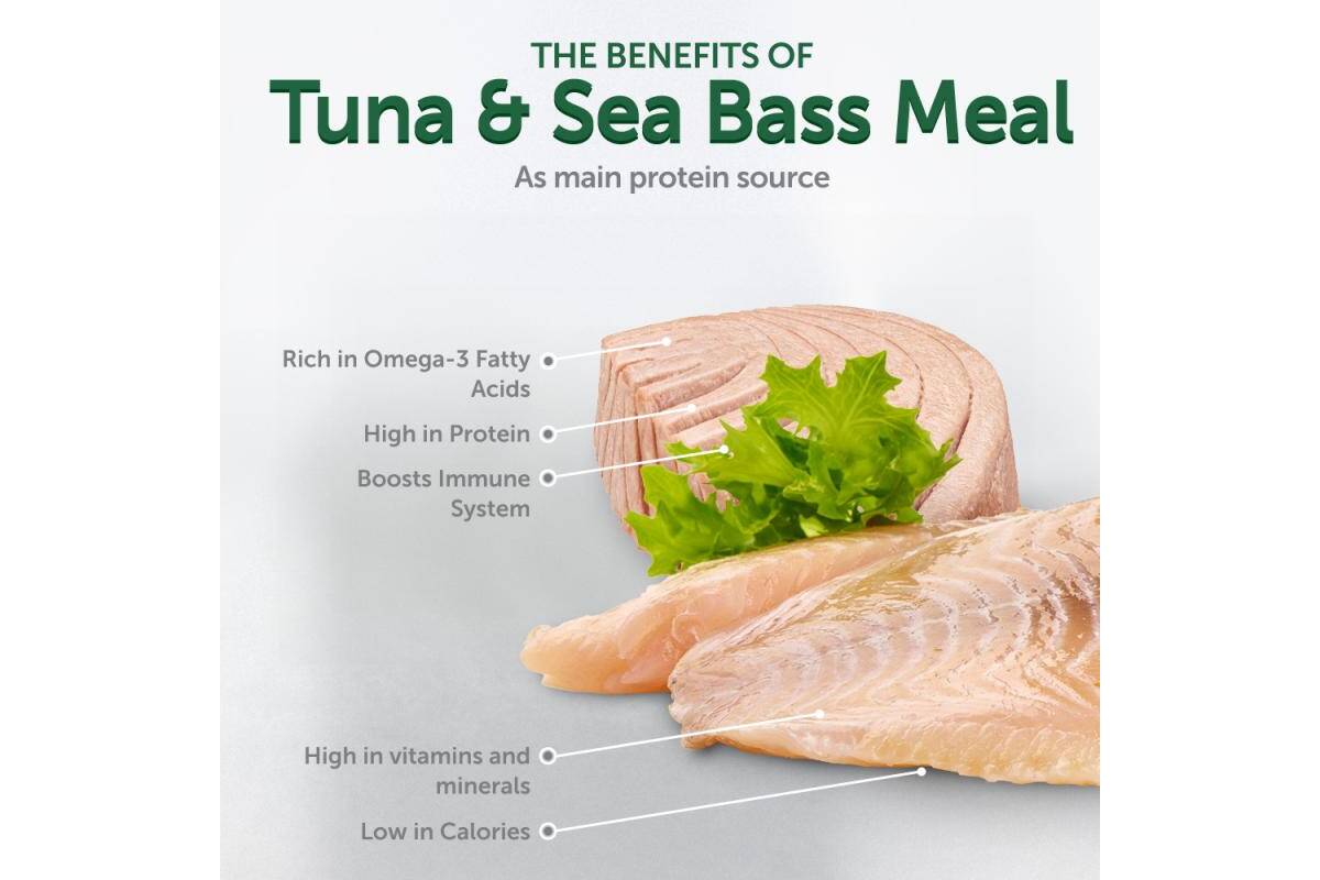 Adult Dogs Wet Food fo All Breeds with Tuna and Sea Bass